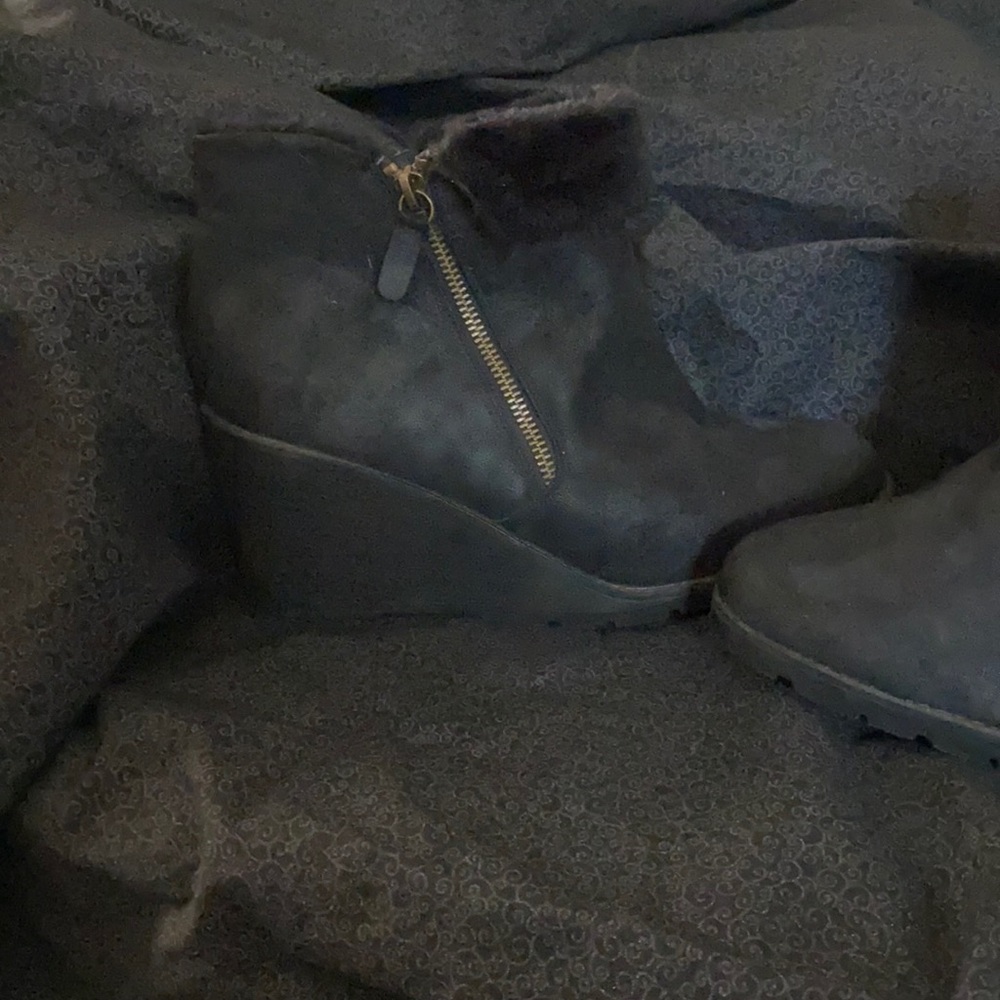 LaneBryant booties